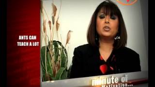 Watch Ants Can Teach a Lot - Rita Gangwani (Personality Architect) - Minute Of Motivation Video