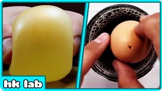 Watch Best of Science Tricks With Eggs Cool Science Experiments Compilation Video