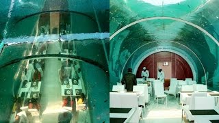 Watch Ahmedabad's 'The Real Poseidon'Ã‚Â restaurant offers food underwater Video