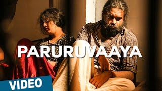 Watch Paruruvaaya || Tamil Video Song || Ver 2 || Thaarai Thappattai || Ilaiyaraaja || Bala || M.Sasikumar || Varalaxmi Video