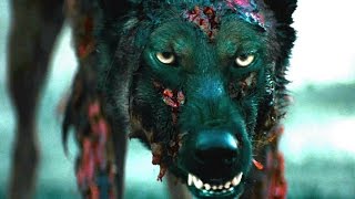 Watch CABIN FEVER Official Trailer (2016) Eli Roth Horror Remake Movie HD Video