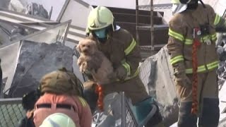 Watch Raw: Dog Rescued From Rubble After Taiwan Quake Video