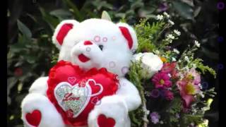 Watch Happy Teddy Day 2016 SMS - Valentine Day Video