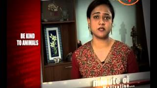 Watch Be Kind to Animals - Jayanthi Lyengar (Motivational Speaker) - Minute Of Motivation Video