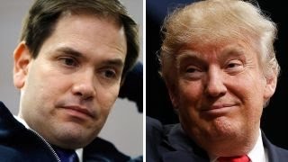Watch What if Rubio is demolished by Trump in his home state? Video