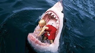 Watch World's Most Amazing Videos Of The World 2016 Video