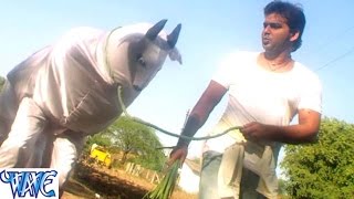 Watch Jarsee baachhee - Bhojpuri Comedy Scene - Comedy Scene From Bhojpuri Fil '' Suhaag'' - Pawan Singh Video