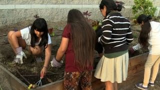 Watch Fighting L.A.'s Food Desert One Block at a Time Video
