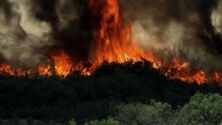 Watch Raw: Big Wildfire Near Arizona-California Border Video
