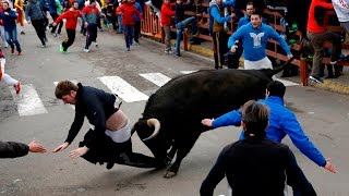 Watch Bull Fighting Accidents Video