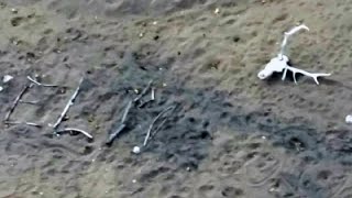 Watch Woman Rescued After 9 Days Lost in Ariz. Desert Video