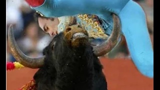 Watch Crazy Bull Attack on People in Beach - Best Bull Attacks Compilation Video