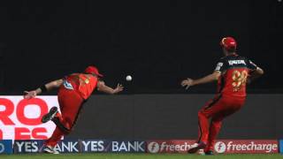 Watch Royal Challengers Bangalore vs Delhi Daredevils - RCB vs DD - Ipl 2016 Watson and Wiese catch Video