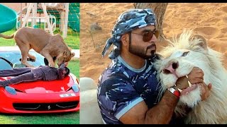 Watch Pet Wild Animals-Wealthy Lifestyle of Rich Arabs Video