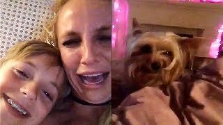 Watch Britney Spears Weeping Over Her Dog Eating Her Cheese is Everything Video
