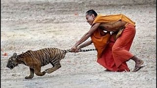 Watch People Are Awesome ( Best of All Time ) Video
