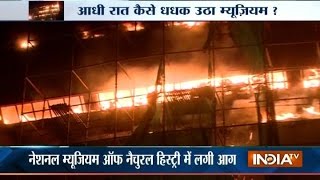 Watch Massive Fire Destroys Delhi's National Museum of Natural History Video