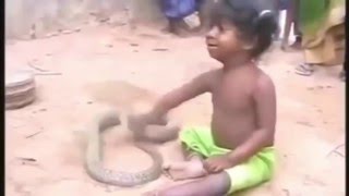 Watch REAL ! Baby Playing with King Cobra  Animals Attack Video