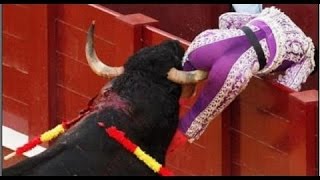 Watch Best funny videos - Most awesome bullfighting festival - funny crazy bull fail (P4) Video