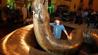 Watch WORLD'S LARGEST BIGGEST SNAKE WAS FOUND DEAD - Chop Busters Video