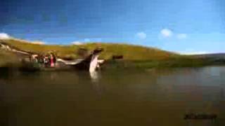 Watch Amazing People Compilation 2013  Amazing skill and Talent Around the World Video
