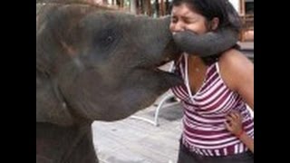 Watch India funny video - Whatsapp india - Funny india pranks Video
