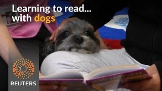 Watch Learning to read with dogs Video