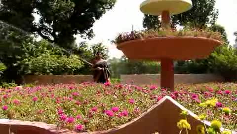 Watch Safety song (Acc Kymore) Direted by Haroon Rashid Singer Lyrics Mukesh Sharma Video