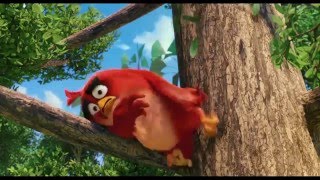 Watch Angry Birds Movie - Character Bumper Red Video