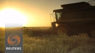 Watch Monsanto rejects Bayer but open to talks Video