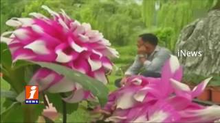 Watch Flower festival attracts tourists in Jammu and Kashmir | iNews Video