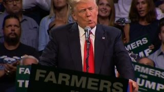 Watch Trump: Clinton 'Lying About Me' at Every Corner Video