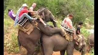 Watch Whatsapp Funny Videos Compilation - Whatsapp Funny Pranks - Funny Indian Videos 2016 Video