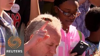 Watch Butterflies released to honor Muhammad Ali Video