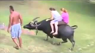 Watch Latest Indian Funny Videos Compilation 2016 - Indian Whatsapp Videos - Videos De Risa 2016 Video