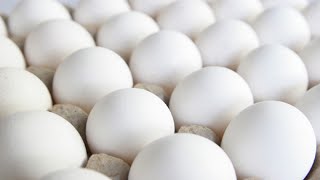 Watch today's most amazing news do you know about the world's smallest egg Video