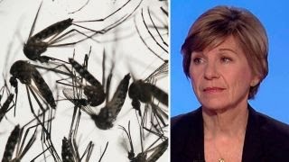 Watch Gates Foundation joins fight against 'serious' Zika problem Video