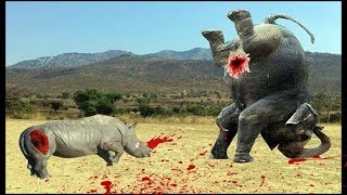 Watch Biggest Wild Animal Fights - Rhino vs elephant  Lion, tiger crocodile - Fighting Animals Video