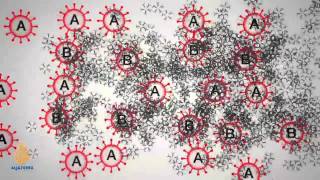 Watch Pioneer: Karl Landsteiner Video