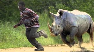 Watch Unbelievable Lucky People of 2016 Video