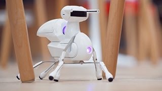 Watch 10 Futuristic Things You Can Buy Online 20 Video