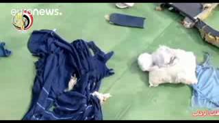 Watch Black box recovered from wreckage of EgyptAir plane crash Video