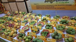 Watch Summer fruits major attraction at Delhi tourism festival Video