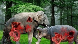 Watch Most Amazing Wild Animal Attacks 7 - lion, tiger, anaconda, Wild dogs, Impala Video