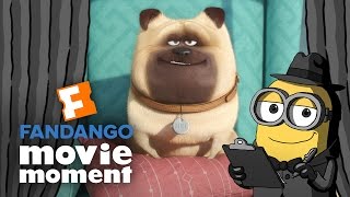 Watch Minions At the Movies React to The Secret Life of Pets - Fandango Movie Moment (2016) Video