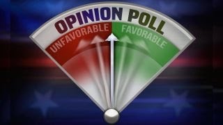 Watch What's in a poll? Video