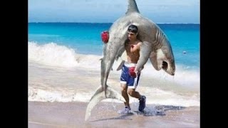 Watch funny videos make you laugh so hard you cry  Best  amazing vidoes Amazing People Video