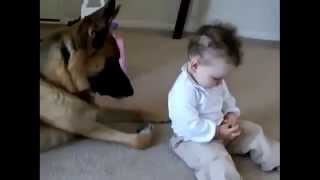 Watch Best Funny Dogs And Children Funny Videos with your kids Video