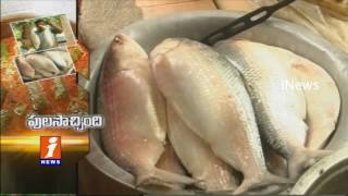 Watch Pulasa Fish - Godavari Special Costly Fish Arrived - iNews Video
