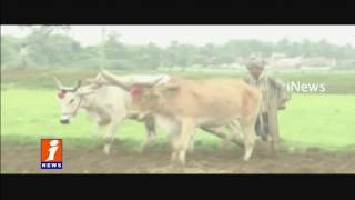 Watch kharif Season Started Early With Heavy Rains | Govt Focus on  Seeds Distribution | iNews Video